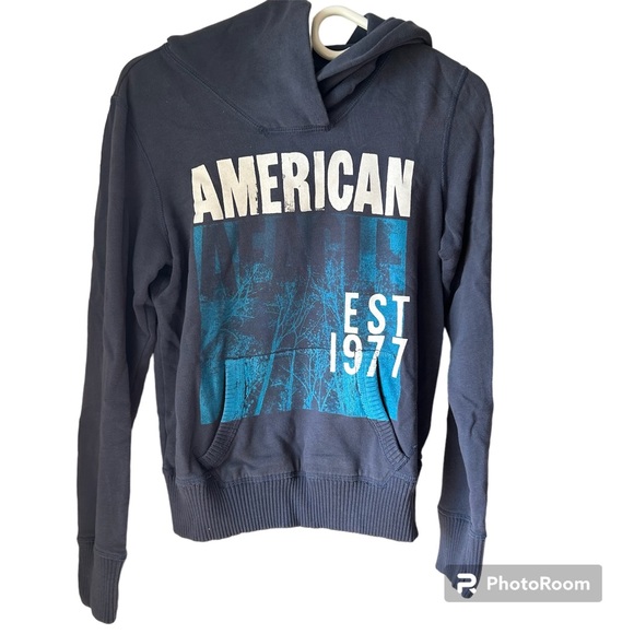 ✨3/$20✨ American Eagle Women’s Blue Long Sleeve Hoodie - Picture 1 of 8